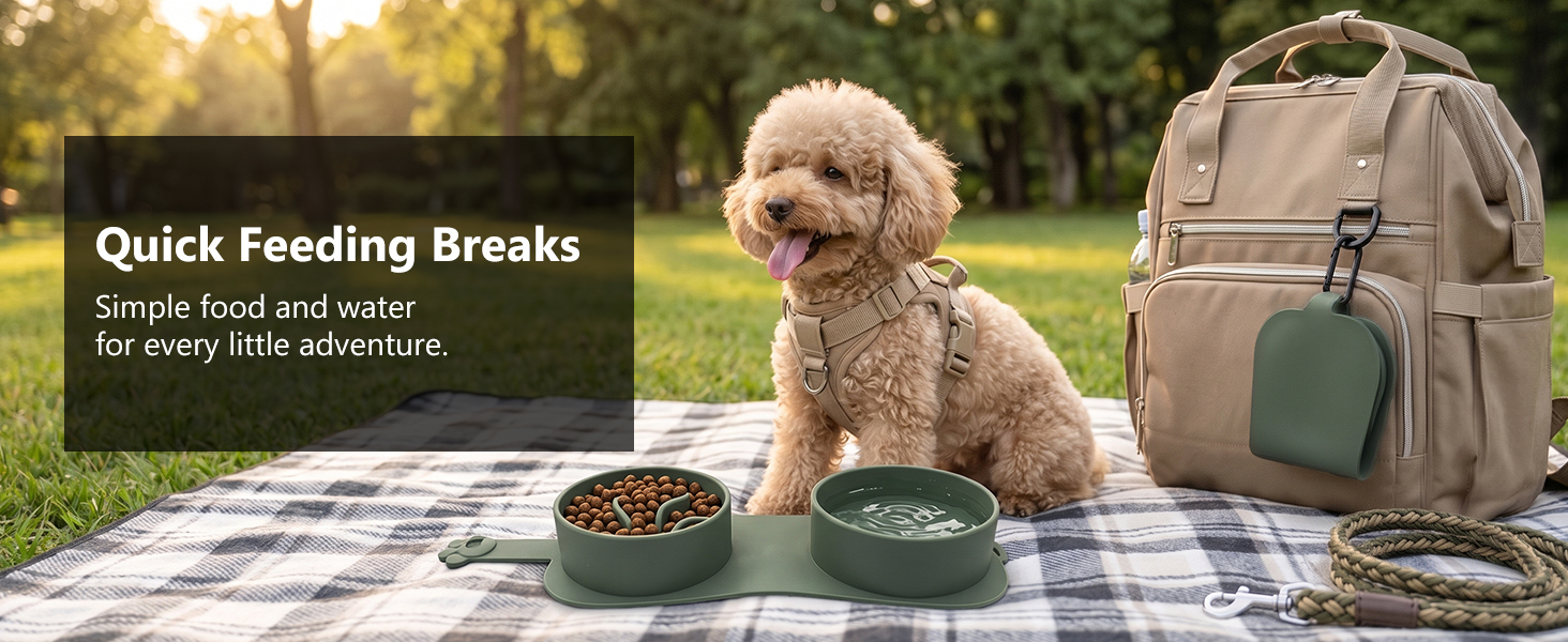 Pegifix Portable Double Bowl for Small Dogs and Cats